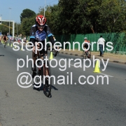 SNP_1185